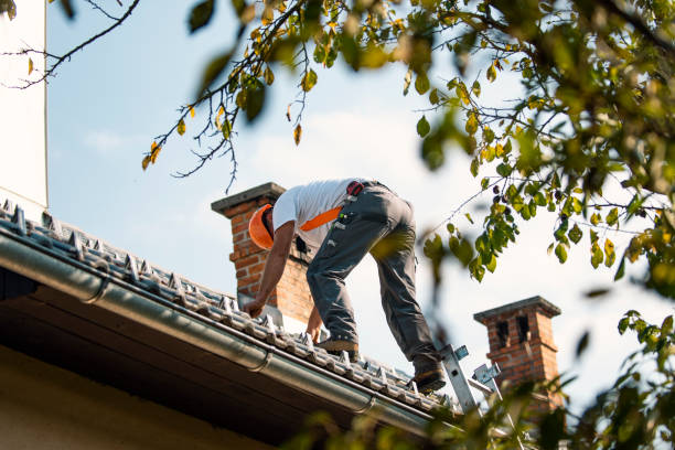 Best Roof Moss and Algae Removal  in Muldrow, OK